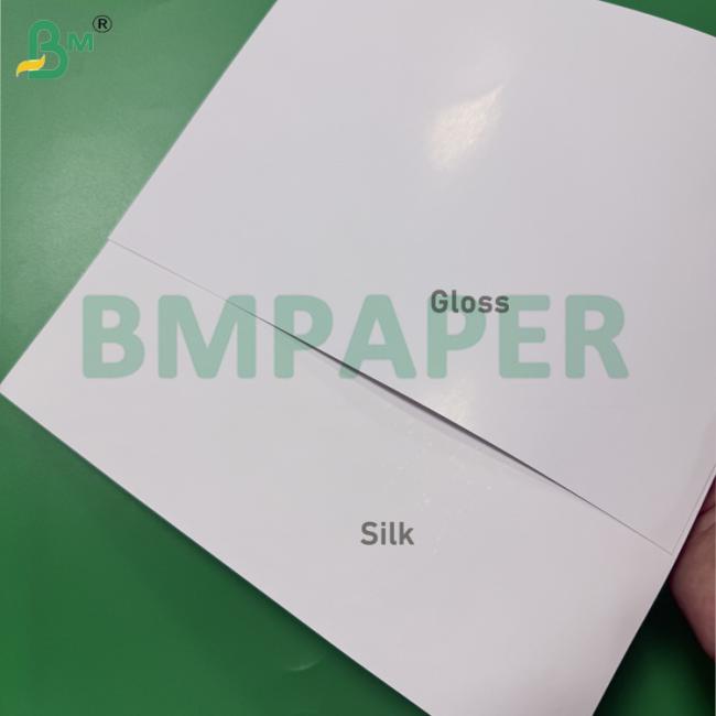 300gsm 110lb Premium Digital Coated Paper Gloss / Silk Cover Paper 300gsm 110lb Premium Digital Coated Paper Gloss / Silk Cover Paper