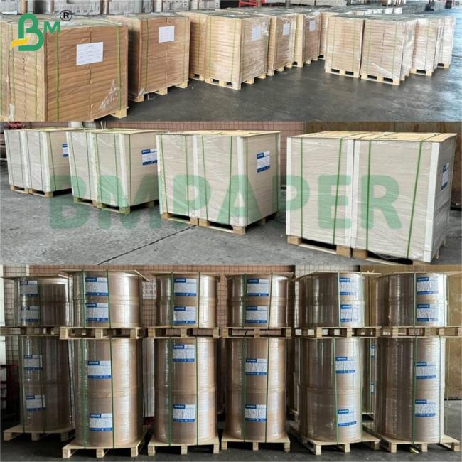 240gsm+15gsm High Strength Glossy Paper Bowl Paper For Hot Drink Hot Food Packaging Bowl 240gsm+15gsm High Strength Glossy Paper Bowl Paper For Hot Drink Hot Food Packaging Bowl