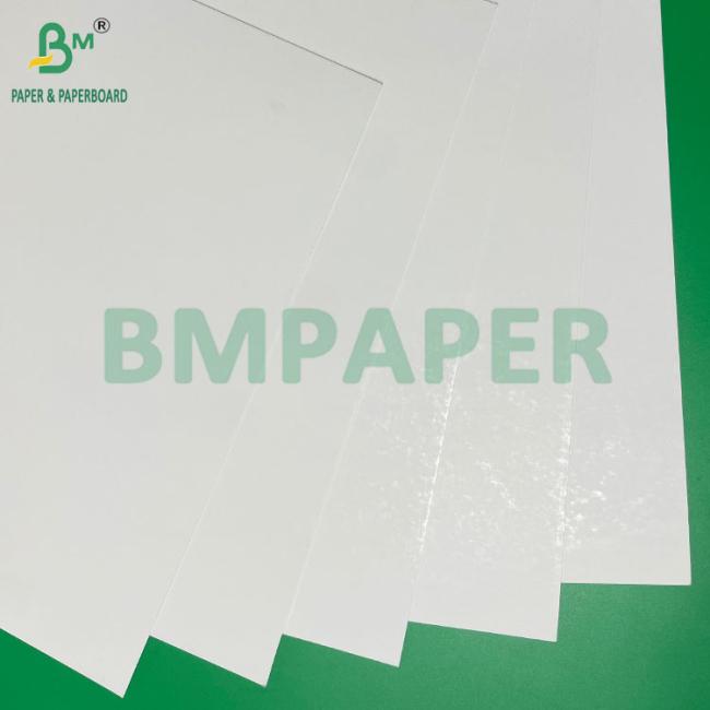 300gram 325gram Top Coated Glossy Blister Cardboard for Heat Sealing Packing 300gram 325gram Top Coated Glossy Blister Cardboard for Heat Sealing Packing