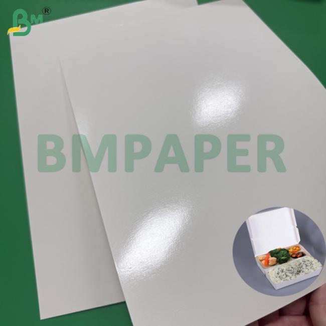 230g 275g Food Grade Lunch Paperboard Sheets 2S PE Coated Oil Resistant 230g 275g Food Grade Lunch Paperboard Sheets 2S PE Coated Oil Resistant