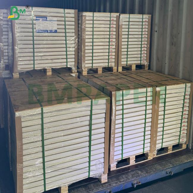Guangzhou Bmpaper Co., Ltd. facility