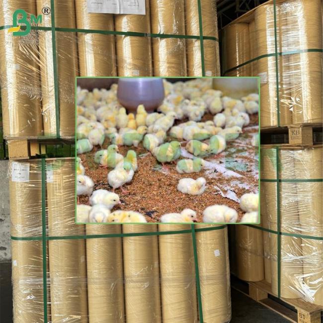 90gsm Absorbent Kraft Paper Thick Chickpaper Specialized For Hens Rearing 74cm 90cm 90gsm Absorbent Kraft Paper Thick Chickpaper Specialized For Hens Rearing 74cm 90cm