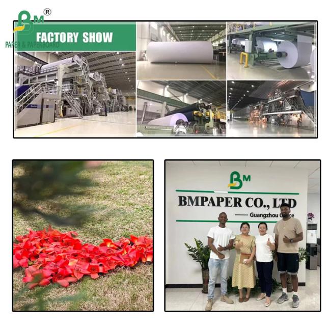 100gsm 120gsm Sustainable Food Safety Kraft Paper For Bags 800mm 900mm 100gsm 120gsm Sustainable Food Safety Kraft Paper For Bags 800mm 900mm