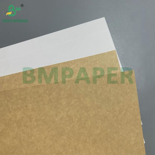FDA Grade Top Side Clay Coated 365gsm Kraft Paper for Food Packaging FDA Grade Top Side Clay Coated 365gsm Kraft Paper for Food Packaging