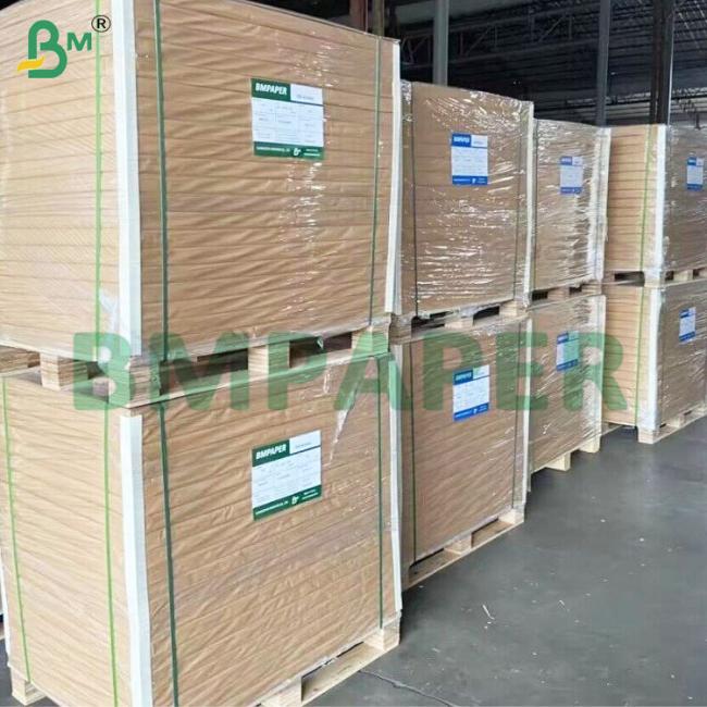 200gsm+10gsm PE Coated Food Safe Leak-proof Cup Paper Sheets 200gsm+10gsm PE Coated Food Safe Leak-proof Cup Paper Sheets