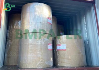 China High Bulk Single 15 PE Coated Paper Board 160 - 300gsm Cup Paper Stock for sale