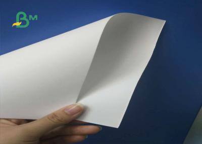 China Smooth Paper Surface Virgin Kraft Paper Sheets For Food Bags /  Paper Cups for sale