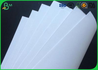 China 40g , 45g , 50g , 55g , 60g , 80g , 100g , 120g , 130g  White Kraft Paper Or Roll for sale
