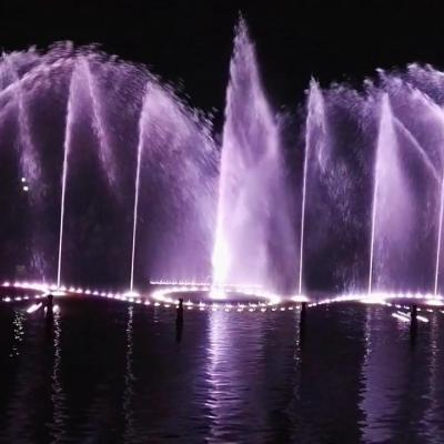China Hotel Music Water Dancing Fountain Stainless Steel Musical Signal Control for sale