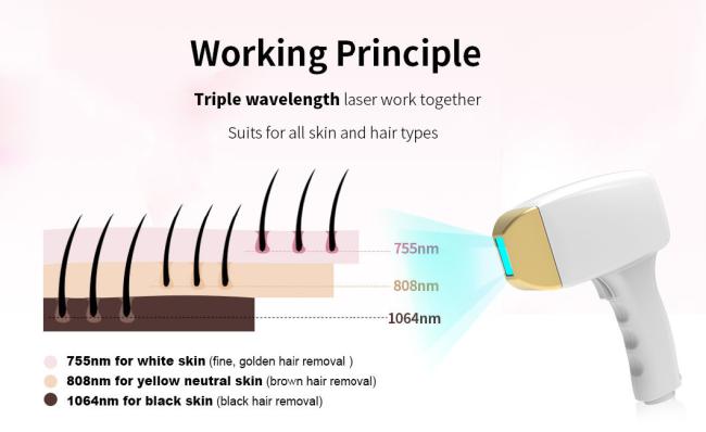 2024 New Arrival Best Portable Professional Diode Laser Depilation Hair Removal System Salon Beauty Device 808/810nm Diode Laser