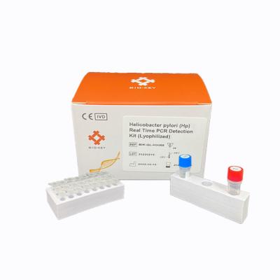 China High Accuracy Molecular Diagnosis  Helicobacter Pylori RT  QPCR Kit Lyophilized for sale