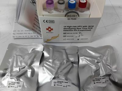 China HPV Genotype 2+12 High Risk 16+18 Medium Risk PCR Detection Kit Lyophilized for sale