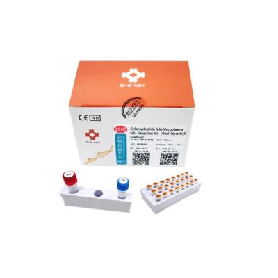 China DNA Taq Feline Mycoplasma PCR Kit Chlamydophila Real Time Fluorescent Probe PCR System for sale
