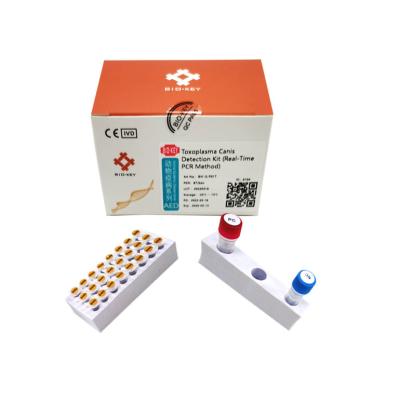 China Canine Toxoplasma Test Kit CTOX Polymerase Dog DNA QPCR Taqman Probe for sale