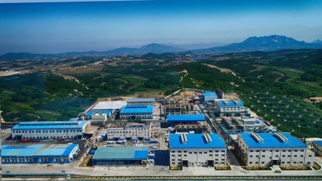 Flotation Carbon Depressant D481 for Copper and Gold Mine
