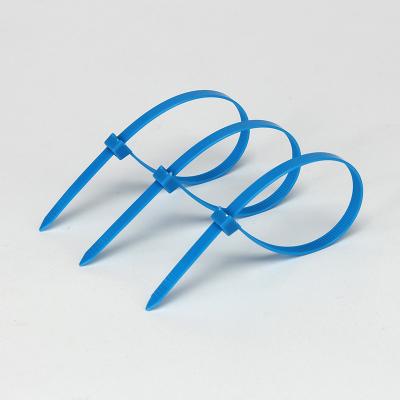 China Reusable Big Blue Self Locking Nylon Cable Zip Ties 7.6MMx250MM for sale