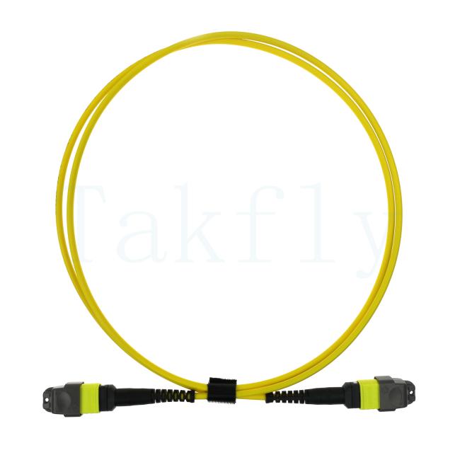 12F MTP APC Patch Cord front view