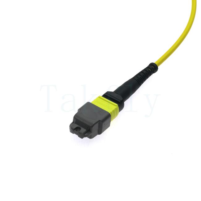 12F MTP APC Patch Cord connector detail