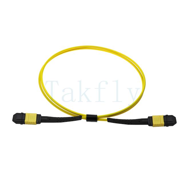 12-Core MPO APC Fanout Patch Cord product view