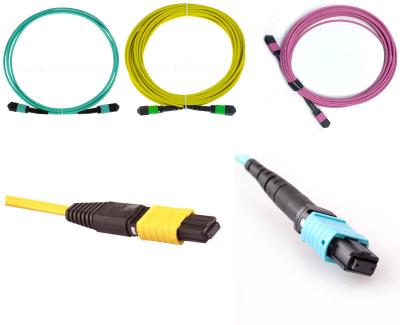 China Cable de la fibra de Data Center MPO del cordón de remiendo de la fibra óptica del CPR 24C en venta