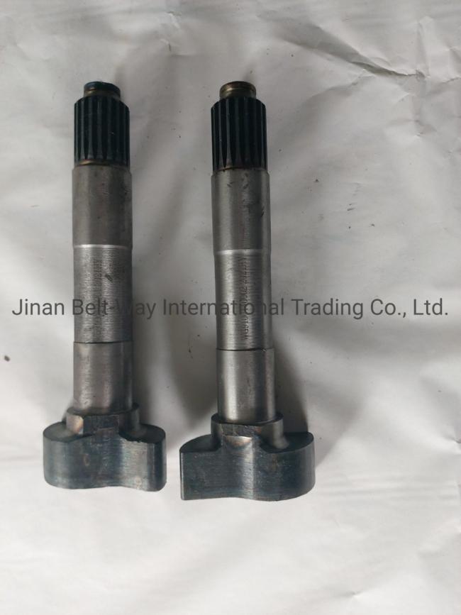 Sinotruk HOWO Truck Spare Parts Brake Camshaft Wg9100440002 Wg9100440001