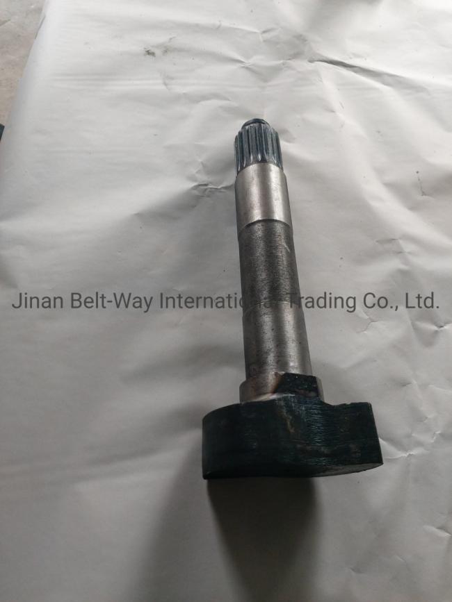 Sinotruk HOWO Truck Spare Parts Brake Camshaft Wg9100440002 Wg9100440001