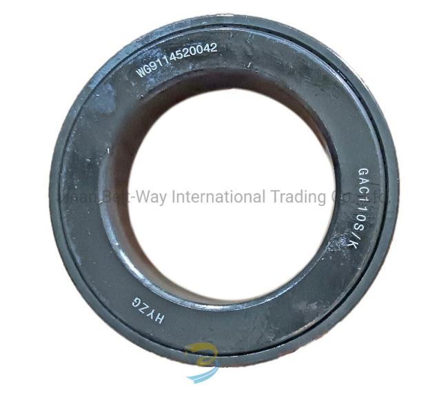 Shacman Truck Spare Parts Balance Shaft Bearing 199114520042