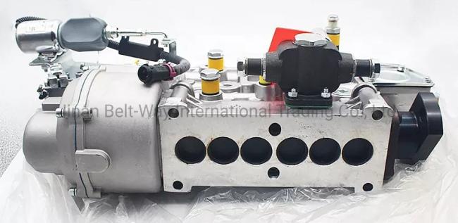 Sinotruk HOWO Truck Engine Spare Parts Fuel Injection Pump Hg1500089019