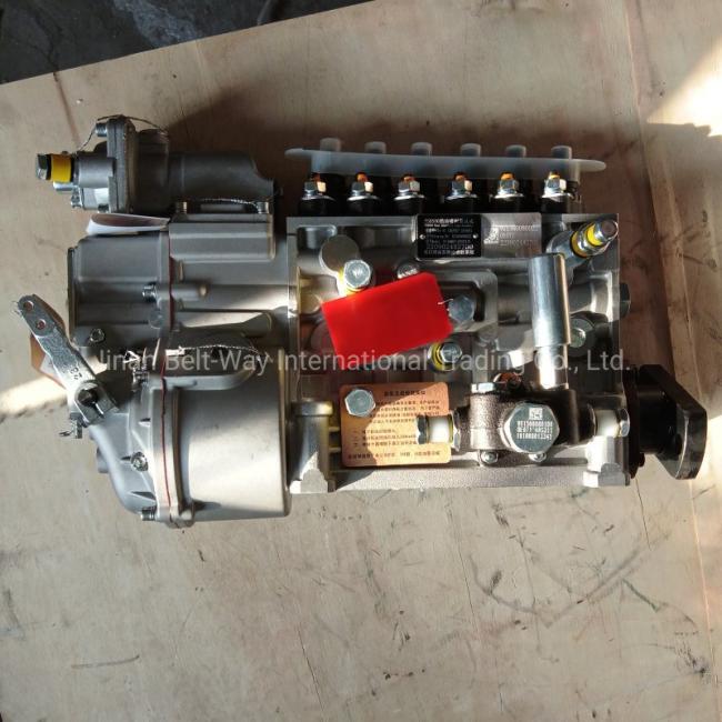 Sinotruk Weichai Engine High-Pressure Oil Pump Vg1560080022 Injection Pump