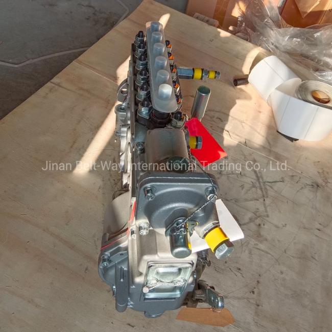 Sinotruk Weichai Engine High-Pressure Oil Pump Vg1560080022 Injection Pump