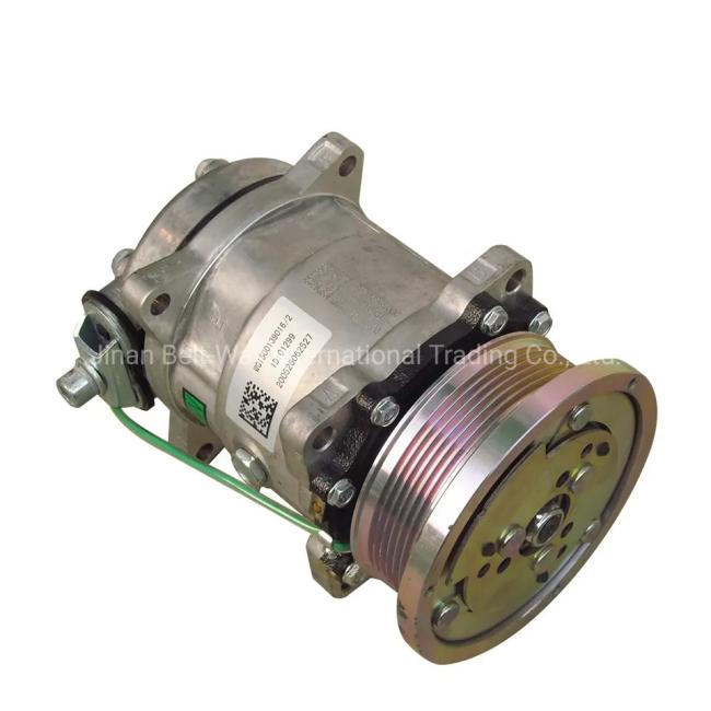 AC Compressor Wg1500139016 for Sinotruk HOWO Spare Parts