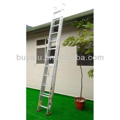 China Two Sections Aluminum Extendable Ladder Silver Anodized Industrial Ladders for sale