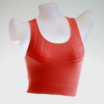 China Woman active bra for sale