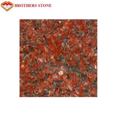 China India Ruby Red Granite Stone Tiles High Polished Cut - To - Size For Vase for sale