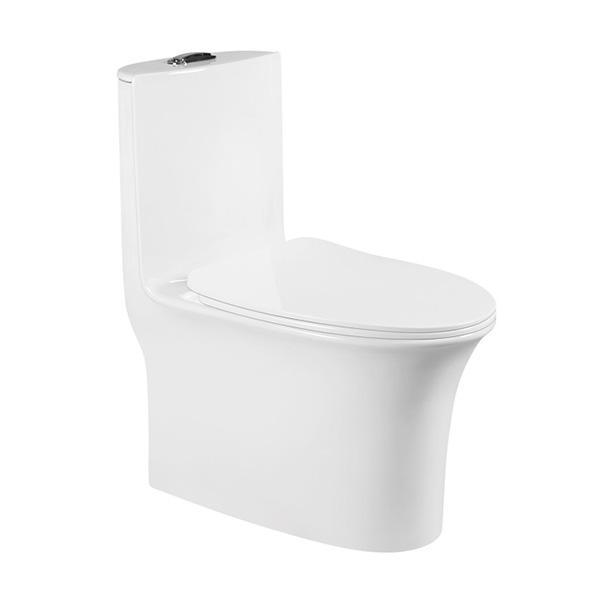 European Style S Trap Siphonic One Piece Wc Antibacterial 1