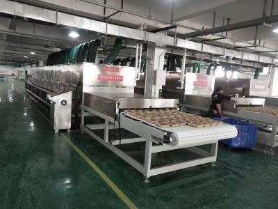 China Customized Microwave Vacuum Drying Equipment for High-Performance and Fast Drying for sale