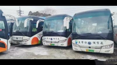 China Electric Coach Bus SLK6118 Shenlong Bus Custom Coach 48seats Luxury Bus Seats for sale