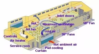 Modern Design Steel Structure Broiler House Chicken Warehouse For Farmhouse Application