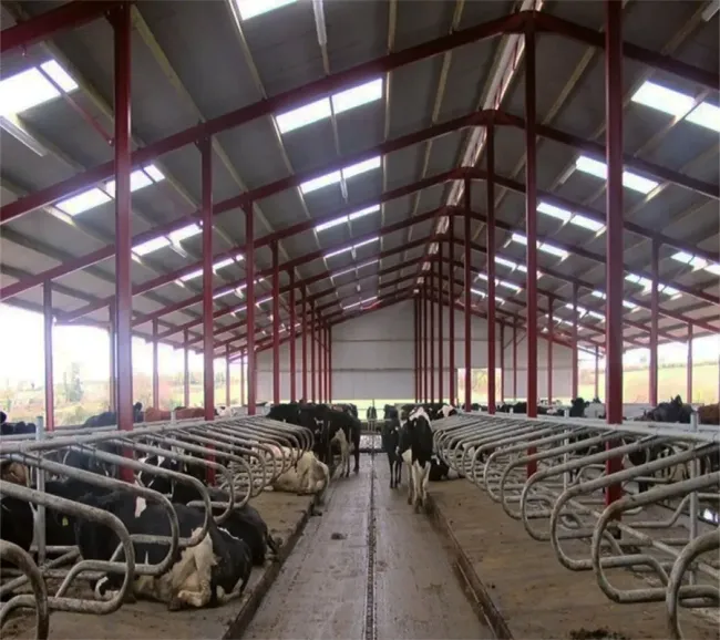 Modern Steel Structure Metal Dairy Farming Cow House Steel Shed