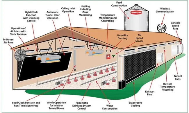 Steel Structure Chicken Use Poultry House/Chicken Farm/ Broiler Chicken House