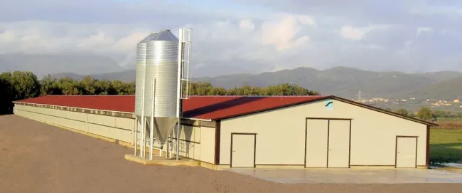 Steel Structure Chicken Use Poultry House/Chicken Farm/ Broiler Chicken House