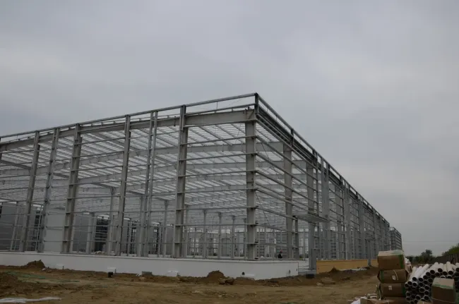 Versatile steel structure designs