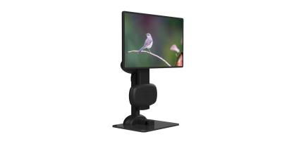 China Ergonomics LCD Stand Monitor Swivel To Relieve Neck Stiffness for sale