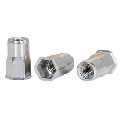 China Hex Rivet Nut SS304 Stainless Steel Plain Threaded Inserts Rivet Nut Double Hex Nut for sale