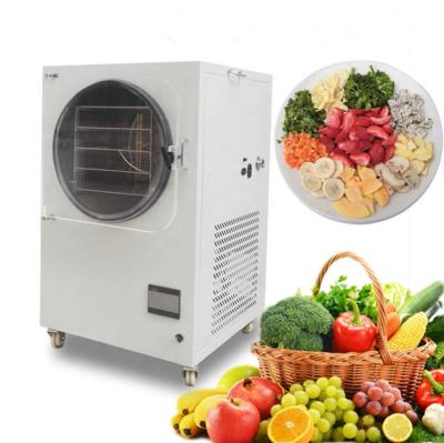 China Multifunction Industrial Food Freeze Dryer Mini Vacuum Food Lyophilizer for sale