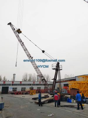 China D3015 Derrick Tower Crane 30mts Luffing Jib 1.5tons Tip Load FOB Price for sale