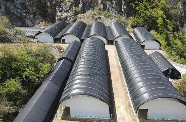 single-span blackout film greenhouse