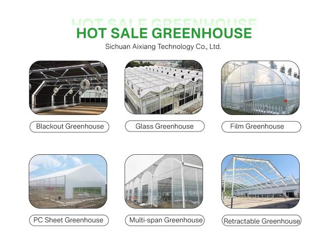 hot sale greenhouse