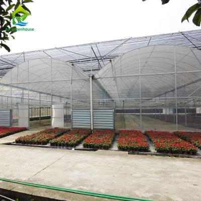 China Strawberry Tomato Cucumber Growing Plastic Film Greenhouse For Commercial for sale