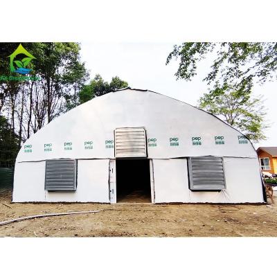 China External Blackout System plastic Film Greenhouse Automatic for sale